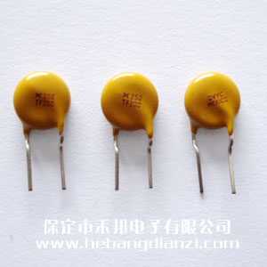 自恢复保险丝250V 0.2A