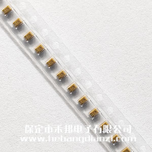 22uF 钽(tǎn)电容 6.3V